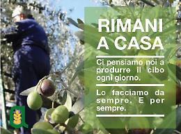 Coronavirus, Confagricoltura pronta ad assicurare le materie prime anche in emergenza