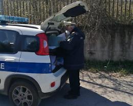 Pugno di ferro della polizia locale di Segni: decine di controlli