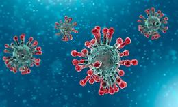 Lotta al coronavirus e privacy: cambiano le regole e il ruolo dei Sindaci. Ecco come