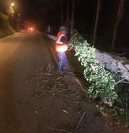 Maltempo, la Provincia rimuove massi e rami spezzati sulle strade provinciali
