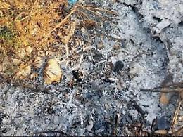 Emergenza covid-19 e roghi illegali di rifiuti, il sindaco: "Tolleranza zero"