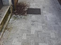Città sporca e l'opposizione incalza: "Il virus si moltiplica soprattutto per mancanza d'igiene"