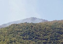 Il coronavirus non ferma i piromani: ancora incendi sulle montagne