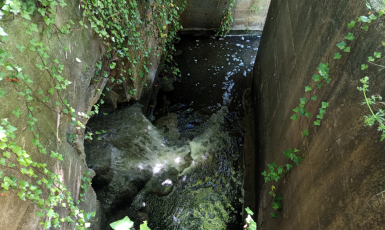 Fiume Sacco, sulle tracce degli inquinanti