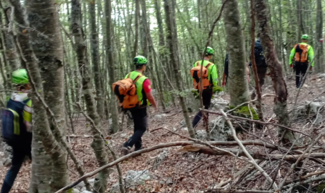 Mangiano funghi velenosi: padre e figlio intossicati