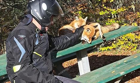 Un incontro speciale per due motociclisti