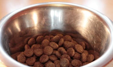 Crocchette dei gatti