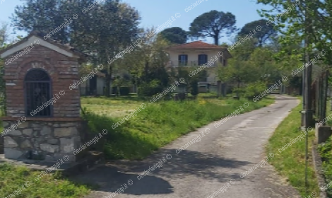 Rubano gioielli e denaro con il proprietario in casa