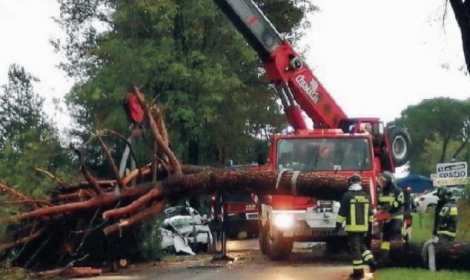 Rudy Colantonio e Antonio Russo uccisi da un pino. Imputati in aula