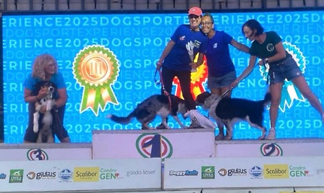 Dora Terlizzi e la sua cagnolina Scarlet Witch sono campionesse italiane di freestyle e speedwater 