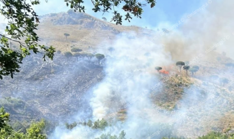 Brucia da ore Monte Trocchio