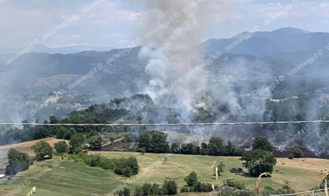 Fiamme tra Ripi, Strangolagalli e Ceprano. Vigili del fuoco in azione