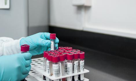 Virus West Nile in Ciociaria: stop alle donazioni di sangue