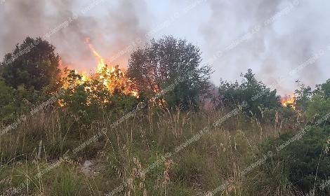 Incendio in localit&agrave; Burano, distrutti ettari di vegetazione