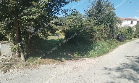 Trovati resti umani. Attesa per l'esame del Dna