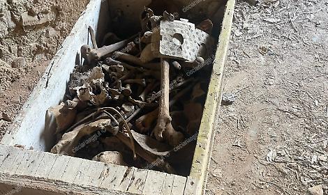 Trovano ossa umane durante i lavori di ristrutturazione