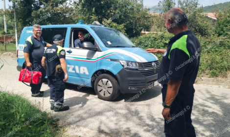 Resti umani in un campo. Si attendono i risultati del Dna