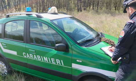 Rifiuti abbandonati. Sessantenne denunciato