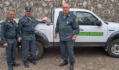 Pitbull legato a una panchina in localit&agrave; Fraioli: salvato dalle guardie venatorie