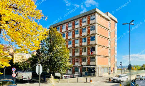 L'Inps non paga la pensione di reversibilit&agrave;. Il Tar lo condanna