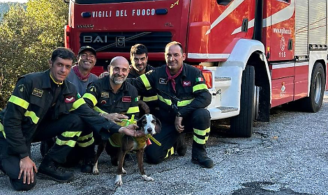 Pilone &egrave; stato ritrovato. Il proprietario si era perso su monte Cairo per cercarlo