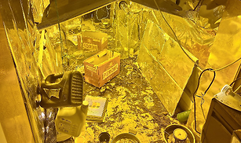 Scoperta una serra di cannabis in un'abitazione: arrestato 