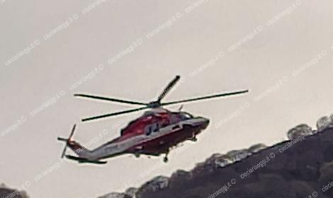 Cade una mucca in un canale sul Monte Prato: impegnati i vigili del fuoco