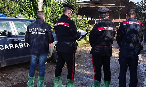 Gravi irregolarit&agrave; in un&rsquo;azienda agricola: sospesa l&rsquo;attivit&agrave;