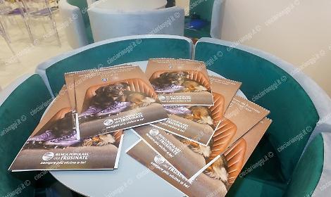 In campo per gli animali