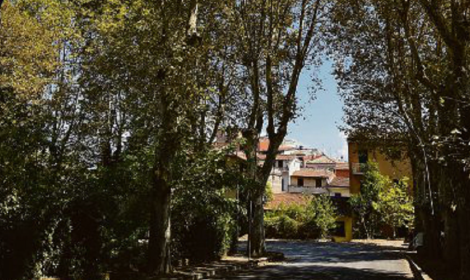 Per la tutela dell'alberata c'&egrave; il Politecnico di Milano