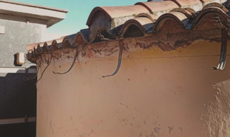 Ladri senza cuore al cimitero