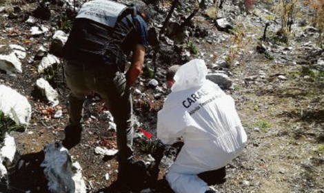 Crescono i reati ambientali