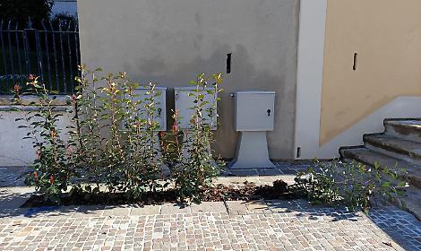 Aiuola danneggiata per la seconda volta dai vandali