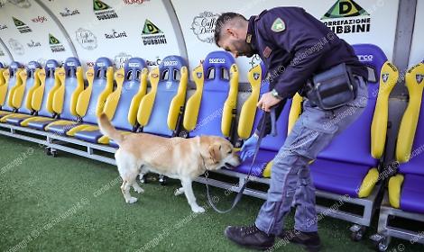 A rischio le gare del Frosinone con Catanzaro e Pescara