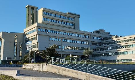 Capretta presa a calci, archiviazione per tutti