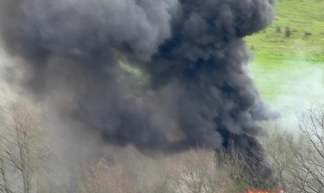 Capannone in fiamme. Muoiono ottanta bovini