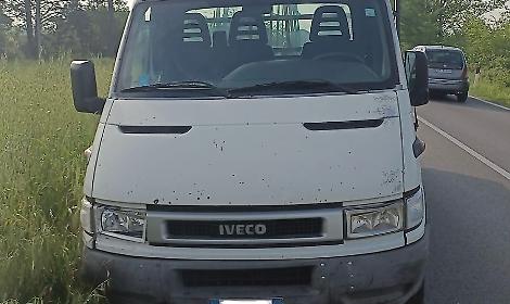 Un daino sbuca all'improvviso e viene travolto: paura per un autista