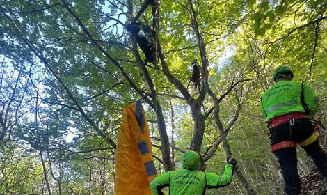 Resta incastrato con il parapendio tra gli alberi: liberato