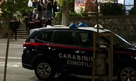 Controlli straordinari dei carabinieri, fioccano denunce e sanzioni