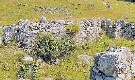 Alla scoperta della storia con gli amici... dell'orso. Il programma