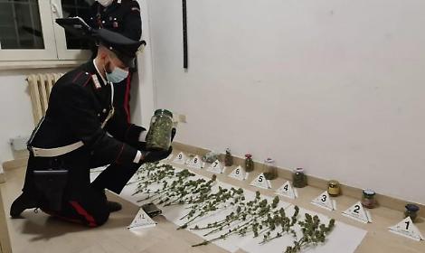 Marijuana nascosta in casa in barattoli di vetro: pusher 39enne in manette