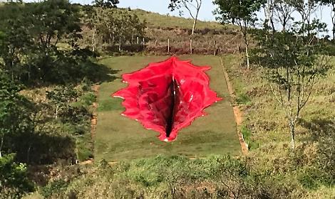 Un'opera d'arte che ha rivoluzionato il Brasile: "La vulva come una ferita"