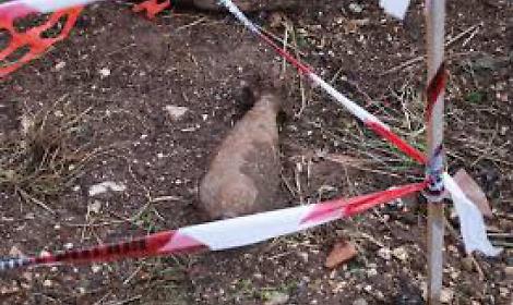 Ordigni bellici lungo la strada. Scatta l'allerta: delimitata l'area