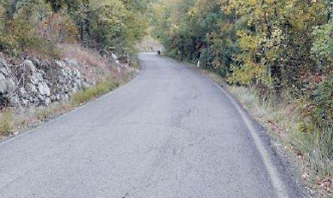 Provinciale pericolosa, cittadini sul piede di guerra: chiesti interventi