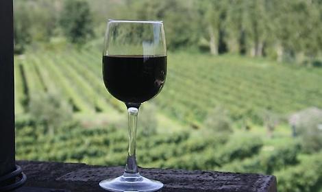 Il vino Cesanese non delude mai: premio per la qualit&agrave; dai sommelier