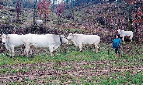 Assunta Valente, la pastora perseguitata racconta la sua storia