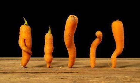 Etichette consapevoli, box alimentari: NaturaS&igrave; contro lo spreco nei campi