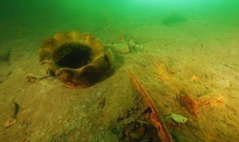 RisOrta, progetto pilota di biomonitoraggio con molluschi