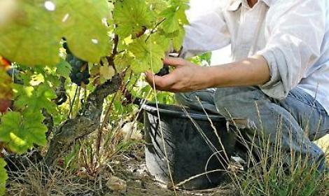 Anascodi: 'Bene sinergia fondo mutualistico avversit&agrave; catastrofali con assicurazioni'