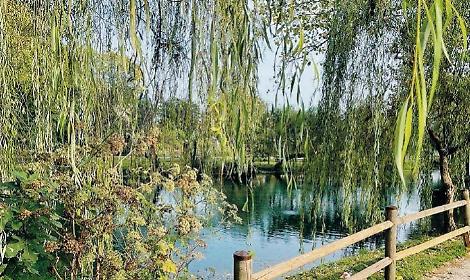 Niente pi&ugrave; rifiuti nel laghetto. L&rsquo;iniziativa